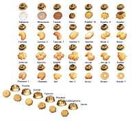 Тестоотсадочная машина в напольном исполнении МТК-50К(М)